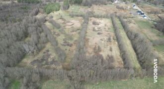Grunt rolny objęty MPZP o powierzchni 13 865 m² – Głobino