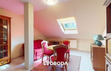 Przestronny dom wolnostojący z garażem – idealny dla dużej rodziny lub pod działalność turystyczną – Różanki