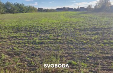 Kompleks działek budowlanych z WZ w cenie od 96 220pln – Baczyna