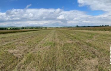 Działka inwestycyjna: grunt rolny IVa – Wrząca