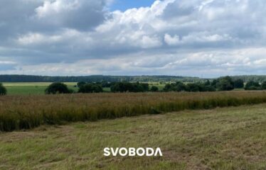 Działka inwestycyjna: grunt rolny IVa – Wrząca