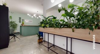 Lokal usługowy na wynajem w centrum miasta – Gorzów Wielkopolski